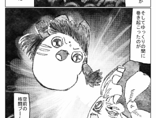 【作者不明】ゆっくりファイターズ！