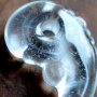 「私が勾玉のあなを“穴”ではなく”孔”と表記するのは･･･」⇒たしかにこの違いは知らなかった！！