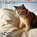 三度目の破裂…病院行ってきます。