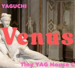 金曜夜８時は配信ライブです！Venus