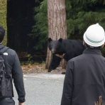 ミリサバ最前線速報