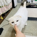 M.Yさんのお当番日記『本日も子守りデー』。