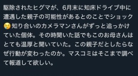 【熊害】事故前にヒグマへの餌付け疑われる事案、男性襲った個体が出没していた地区で…羅臼岳