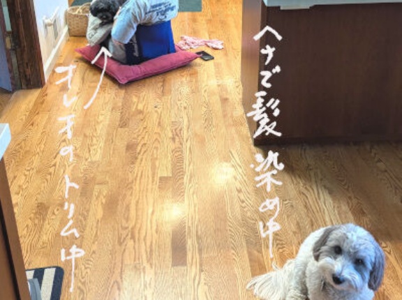 見送りが心配/ 　挫折した