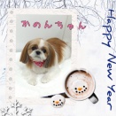 ＪＡＭにご来店♪