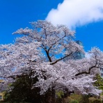 お星様のなんでも探検