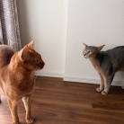 クネクネ甘えん坊ひめちゃん