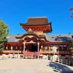 努力の上に花は咲くⅡ