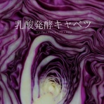 シンプルライフ × シンプルスタイル