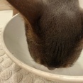 鼻低っ！
