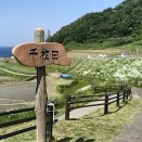 能登（日本道）への道　その35　　白米千枚田を歩く