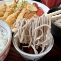 函館市本通1丁目 そば処 東京庵 本通店 その8  いか天おろし(冷)850円 日替わりそば定食(月曜日・冷)800円