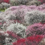 風景写真家・西川貴之の気まぐれブログ