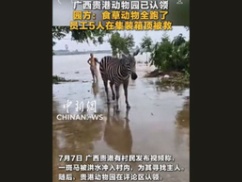 【悲報】台風10号さん、中国のいろんな施設を破壊し毒蛇コブラが800~900匹脱走ｗｗｗｗｗｗｗ
