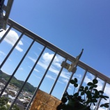 『夏の思い出♪(谷崎蒼太)』の画像