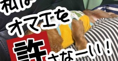 怒りと脱力。