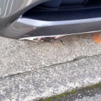 ちょい悪ひでおやじ