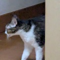そら君