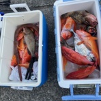 鮎十人十色ブログ