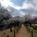 トラブったトラベル