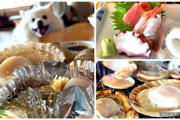 シェビーズのブログ 犬okのレストラン カフェ