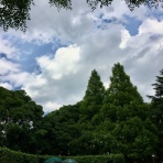 心風 ～Heart Wind～のblog