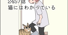 あんこ＆麦2457 猫にはわかっている