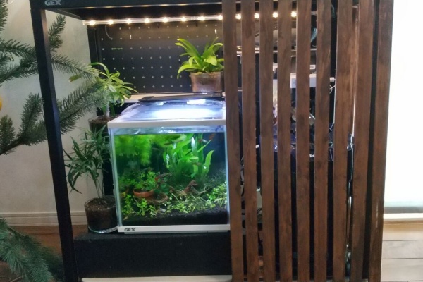 Motiのアクアリウム記録 Moti Aquarium 水槽台 Moti