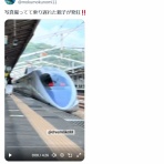 わんこーる速報！