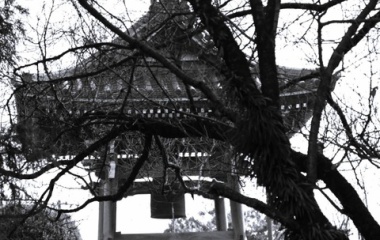 『本興寺　B&W　１』の画像