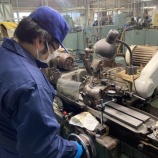 『新しい仲間』の画像