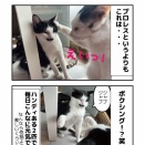ニャンプロ？ニャンボク？