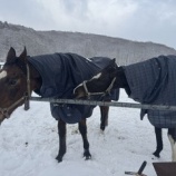 『対応』の画像