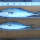 　　　　　　　　２０２５年12月18日