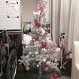 『国府館クリスマスツリー特集』の画像