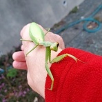 あっ！ごはんは大盛りで！！