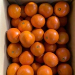 志津駅前　八百屋さん