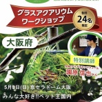 SONOアクアプランツファーム水草･海藻情報局