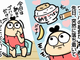 ワッパの食欲が落ち着く