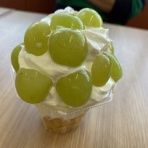 富山のミカエル日記