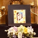 島暮らしのまっさん（淡路島）