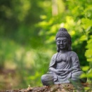 #846【The BUDDHA Nature】