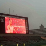 池田勇一スポーツ研究所
