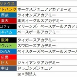 『「野球普及」の方向性と逆行したNPBジュニアトーナメントの不思議』の画像