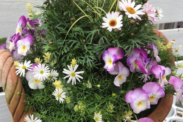 平田ナーセリー福岡西区小戸店villaggio