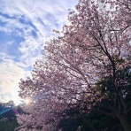 空もよう、心もよう ～ sora koko.