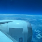 成城大学漕艇部