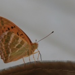 ようこそ軽井沢へ！