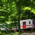 JR東日本キハ110系長野車両センター@キハ110-225（森を抜ける）