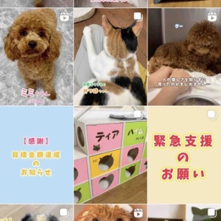 ティアハイムさいたま公式ブログ